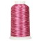 Threadart Variegated Polyester Embroidery Thread - 40wt - 1000m - 25 Colors Available
